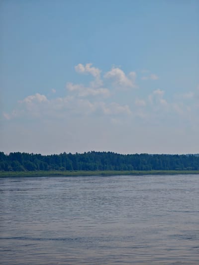 The image depicts a wide river flowing in front of a densely wooded forest that stretches horizontally across the frame. The sky above is a pale blue, dotted with scattered white clouds. The water's surface is rippled, reflecting the light and creating a textured appearance. The forest appears lush and green, suggesting a temperate season. The scene is tranquil and natural, with no human presence or structures visible. This landscape is consistent with the natural environment found near Pogodaevo, Russia, where such large rivers and forested areas are common.