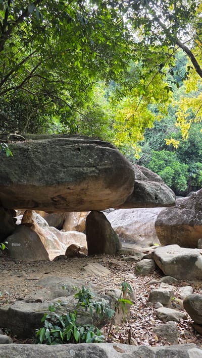 The image depicts a natural rock formation in Nam Ninh Hoa, Vietnam, featuring a narrow passage or crevice between large, grey rocks. The rocks are surrounded by lush green vegetation, including trees with bright green and yellow foliage, indicating a forested or park-like environment. The ground is covered in smaller rocks, gravel, and fallen leaves, suggesting a natural path or trail. The composition is framed to emphasize the rock formation and its natural setting.