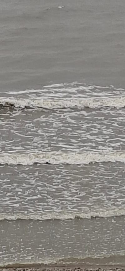 The image is a close-up, vertical shot of ocean waves at the shore. The water is a muted gray, with white foam cresting the waves. Several distinct lines of waves are visible, moving from right to left. In the upper portion of the image, a small white object is visible in the distance on the water, possibly a bird or a piece of debris. The foreground shows the very edge of a sandy or pebbly beach. The scene depicts a natural coastal environment.