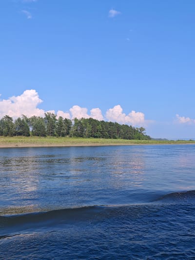 An eye-level, medium outdoor shot captures a serene body of water in Verkhnepashino, Russia, under a bright, partly cloudy sky. The water, a deep blue, is calm with gentle ripples and a small wave breaking on the right side of the frame. In the distance, a tree-lined shore stretches across the horizon, with a mix of evergreen and deciduous trees forming a dense band of green. Behind the trees, puffy white clouds are scattered across the clear blue sky. The shore appears to be a sandy or muddy embankment, with sparse vegetation in the foreground. The scene conveys a sense of tranquility and natural beauty.
