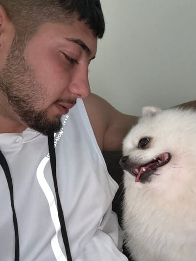 A man with dark hair and a beard lies on his back, eyes closed, seemingly asleep. Above him, a fluffy white dog with its mouth open and tongue visible is positioned upside down. The man wears a white t-shirt with black and white stripes. The background is a plain white wall. It is not possible to determine if this scene is located in Lausen, Switzerland, or anywhere else.