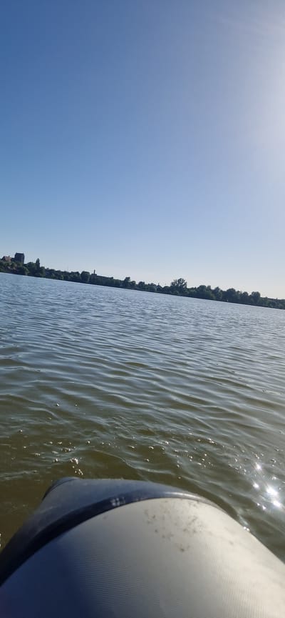 This is a landscape orientation photograph taken from a boat on a body of water, likely during the daytime given the bright sky and sunlight glinting on the water. The image is dominated by two main elements: the sky and the water.

On the left side of the image, a clear, light blue sky fills a significant portion. The sky is bright, suggesting a sunny day. Towards the top left corner, there's a subtle lens flare effect from the sun.

The right side of the image is taken up by the water and the edge of the boat. The water has gentle ripples, and sunlight reflects off its surface, creating numerous bright glints and sparkles. The water appears to be a greenish-brown color. In the foreground, on the far right, is a portion of the boat, characterized by its curved surface and a texture of fine, parallel lines. The boat is white with a dark blue trim.

Along the horizon, separating the sky and water, is a tree line, indicating land. The trees are densely packed and appear green, suggesting a natural, vegetated area. In the distance, peeking through the trees, are hints of buildings, suggesting a settlement or town along the shore. The overall scene evokes a sense of a peaceful day on the water. The orientation of the photograph is rotated, with the horizon running vertically down the right side of the frame.