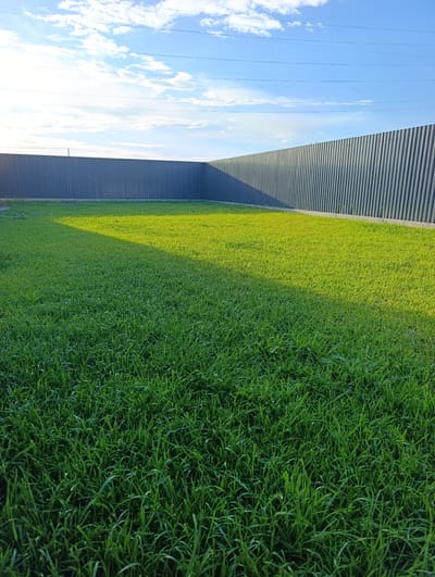 The image depicts a section of a well-maintained, vibrant green lawn bathed in the warm, golden light of late afternoon or early morning. The grass is lush and appears to have been recently watered, with dew drops visible on some blades. A long, dark gray corrugated metal fence forms a sharp, geometric boundary across the background, suggesting a backyard or a secluded outdoor area. The fence creates a strong contrast with the natural green of the lawn.
Above the fence, a clear blue sky is adorned with scattered, wispy white clouds. Several thin, dark horizontal lines, likely power or telephone lines, stretch across the upper portion of the frame, adding a man-made element to the otherwise natural scene. The sunlight casts a distinct, large shadow from an unseen object onto the grass, creating a dramatic visual effect and indicating the low angle of the sun.
There are no people or animals visible in the image. The scene conveys a sense of tranquility and order, with the meticulously kept lawn and the imposing fence. The overall impression is one of a peaceful, private outdoor space. The location context of Ленина, Russia, combined with the visual elements, suggests a residential setting. The time of day is clearly indicated by the long shadows and the quality of light. The weather appears to be clear and pleasant. No text is visible in the image.