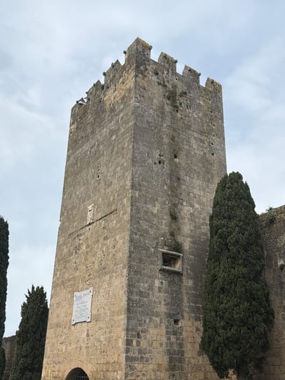 The image shows a tall stone tower, likely part of a medieval structure, possibly a castle or fortification. The tower is constructed from large, rough-hewn stone blocks and has a crenellated top. There's a small window or opening visible on one side. A plaque is mounted on the tower wall. Adjacent to the tower, dense dark green trees are growing. The sky is overcast. This is the Tower of Matilde in Tarquinia, Italy.
