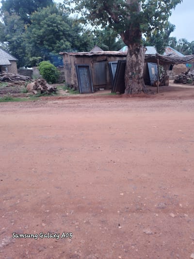 In Doka-Tofa, Nigeria, a dirt road stretches across the foreground of the image. Beyond the road, a weathered building with a corrugated metal roof stands. Several doors, leaning against the structure, are visible. To the left of the building, a large tree with a thick trunk is prominent. Piles of wood and a smaller, leafy bush are situated near the building. In the background, more trees and structures can be seen, suggesting a rural or semi-rural setting. The overall scene depicts an outdoor environment with elements of construction and natural landscape.