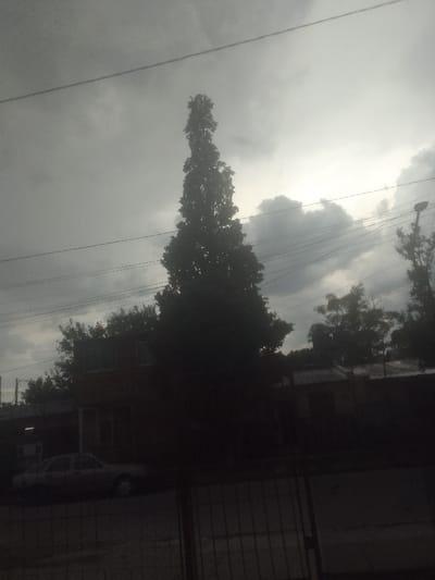 A tall, narrow tree stands prominently against an overcast sky. Dark silhouettes of houses and other trees form the background. A power line stretches across the scene, adding to the somber atmosphere. A car is parked near a house, visible through a fence in the foreground. The overall image has a muted, grayscale tone due to the weather conditions.