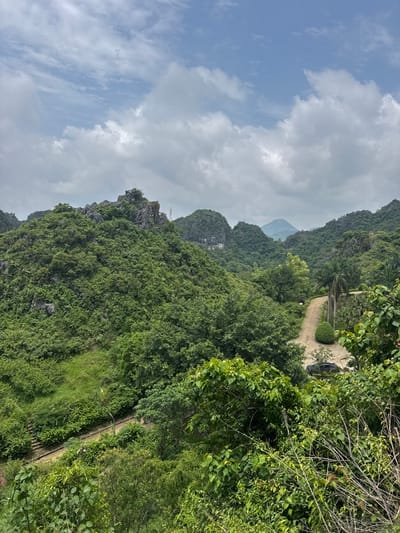 The image depicts a lush, green, mountainous landscape with a winding path. The scene is dominated by dense foliage covering the slopes of karst mountains. The path appears to be made of gravel or dirt and meanders through the vegetation, suggesting it is a walking trail. In the distance, more mountains are visible, shrouded in a slight haze, under a cloudy sky.

The top of the image is a bright blue sky with scattered, fluffy white clouds. The orientation of the image is portrait, with the sky at the left and the landscape filling the rest of the frame.

Notable details include several palm trees lining a section of the path, as well as a well-maintained, rounded shrub. Further down the path, a small, dark-colored vehicle is parked. The overall impression is one of natural beauty and tranquility, possibly a scenic park or hiking area.

The time of day appears to be daytime, with ample light, and the weather is partly cloudy. The location is hinted at by the karst topography, which is characteristic of some regions in Vietnam, specifically mentioned as Tam Thanh Ward. No text is visible in the image. There are no people clearly visible in the image, although a tiny figure could be a person on the path.