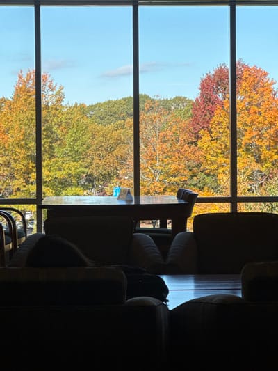 The image displays an indoor scene in Waltham, United States, looking out through a large, multi-paned window. Outside, a dense array of deciduous trees exhibits vibrant autumn foliage, with dominant colors of red, orange, yellow, and green. A clear blue sky with sparse white clouds is visible above the tree line. The window itself is framed by dark vertical and horizontal mullions.
In the midground of the interior, a substantial dark wooden table is positioned directly in front of the window. Two dark chairs are visible on the far side of this table, facing inward. On the table's surface, a small, light-colored triangular object with a pattern and a blue container are discernible.
The immediate foreground features dark, upholstered armchairs, rendered largely in silhouette due to backlighting from the window. The top of a person's head and shoulders, also in silhouette, are visible above the back of an armchair on the left side of the foreground, suggesting they are seated and facing generally towards the window. A dark bag rests beside this individual, on or near the armchair. Another similar armchair is positioned to the right in the foreground. No discernible interactions or specific actions are occurring beyond the person being seated.