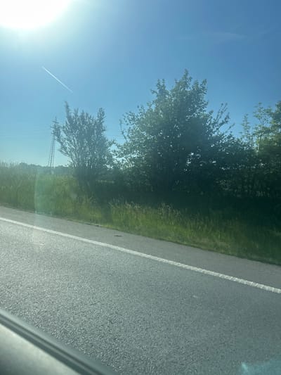 The image captures a bright, sunny outdoor scene, likely taken from the side window of a moving vehicle.

**Subjects:** The primary subjects include a gray asphalt road with a distinct white solid line marking its edge, dense green grass, and numerous deciduous trees with lush foliage. In the expansive blue sky, a bright sun flare is visible in the upper left, alongside a clear white contrail stretching diagonally across the frame. A metal electricity transmission pylon and associated power lines are partially visible in the mid-ground, mostly obscured by the trees and a grassy hill. A small portion of the vehicle's interior, possibly a window frame, is seen in the bottom right corner.

**Activity or event taking place:** The image depicts the view from a car traveling on a road, suggesting an journey or commute through a natural landscape.

**Notable details:** The time of day is clearly daytime, characterized by bright sunlight and a clear blue sky. The weather is fair and sunny. The setting appears to be a rural or semi-rural area, featuring both natural elements like extensive vegetation and infrastructure such as a paved road and power lines. The location context indicates this scene is in Mladá Boleslav, Czechia. The perspective from inside a vehicle implies movement and observation of the passing scenery.

**Visible text:** There is no visible text in the image.