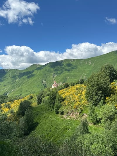 The image depicts a scenic view of the Gudauri region in Georgia, characterized by lush green mountains and a clear blue sky dotted with white clouds. In the mid-ground, a quaint, pink-hued church with multiple domes stands on a hillside, surrounded by vibrant yellow wildflowers and trees. The terrain is characterized by rolling hills, with dense vegetation and some patches of bare earth visible on the steeper slopes. The foreground is dominated by dark green foliage and branches, creating a framing effect. The overall impression is one of natural beauty and tranquility, with the church adding a touch of cultural significance to the landscape.