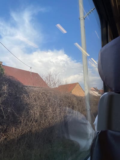 The image presents an exterior view observed from within a vehicle, likely a train, in the city of Hochfelden, France. The scene is framed by a window, displaying reflections of internal elements such as multiple bright, rectangular light sources in the upper half and a dark gray padded seat headrest on the far right.

The exterior environment is characterized by a partially cloudy blue sky with white clouds. In the foreground and midground, a dense, brown mass of bare, intertwining branches, consistent with an overgrown hedge or shrubbery, dominates the lower and central portions of the frame. Beyond this vegetation, residential buildings with red-tiled, gabled roofs are visible. A dark utility line extends horizontally across the upper left quadrant, appearing to connect to a rooftop. A tall, light-colored utility pole, equipped with horizontal fixtures, stands vertically in the mid-right, partially obscured by the window frame. No individuals are visible, and no specific actions or interactions are discernible. The bare state of the vegetation indicates a non-foliage season.