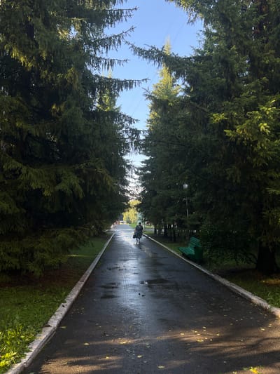 The image depicts a paved pathway lined with tall evergreen trees in Karagaiskii, Russia. The pathway is wet, with several puddles reflecting the sky and dappled sunlight. A single person, appearing to be a woman wearing a dark dress and carrying a bag, is walking away from the camera down the path. To the right of the path, a bright green park bench is visible. The sky is clear and blue, with some power lines visible between the trees. The overall scene suggests a serene park or natural area.