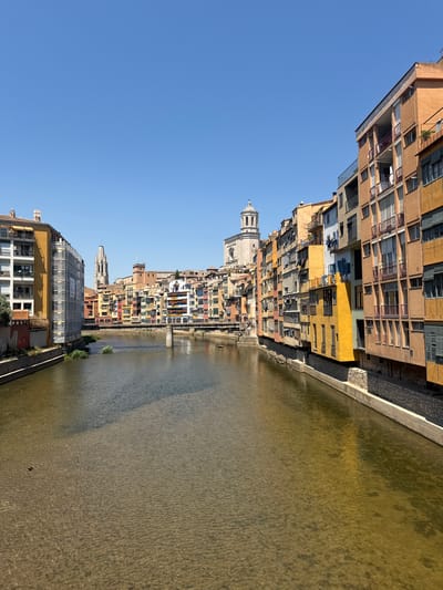 The image shows a view of the Onyar River in Girona, Spain, with colorful buildings lining its banks. The sky is a clear blue. The water in the river is clear and shallow, with the sandy bottom visible.
On the left bank, there are several multi-story buildings. The closest building is painted in shades of yellow and orange, with white-framed windows and balconies. It appears to be undergoing renovation, as it is partially covered in scaffolding and white netting. Next to it, a taller building is painted in white and gray with blue-framed windows. Further down the bank, a line of buildings in various shades of yellow, orange, and white can be seen.
On the right bank, a dense row of tall, narrow buildings displays a vibrant palette of colors including orange, yellow, pink, green, and blue. These buildings have numerous windows and balconies, some of which are adorned with plants or laundry hanging out to dry. The architecture is characteristic of the Barri Vell (Old Town) of Girona.
In the background, several church spires rise above the cityscape. The most prominent is a tall, slender bell tower with intricate stonework, likely part of a cathedral or large church. Another, more rounded bell tower is visible further in the distance.
A bridge crosses the river, with a single pier visible in the water near the center of the image. The riverbanks are lined with stone walls. Small patches of greenery emerge from the water in places. The overall scene depicts a sunny day in a picturesque European city.