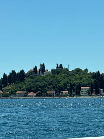 The image shows a view of a coastal area with a body of water in the foreground and a densely vegetated hillside with buildings and a church in the background. The water is a vibrant blue and has a shimmering, rippled surface, suggesting it is a sunny day. Along the shoreline of the hillside, several buildings with red-tiled roofs are visible, nestled amongst the trees. Dominating the upper part of the hill is a prominent church with two bell towers, featuring a light-colored facade and red roofing. The hillside itself is covered in lush green trees and foliage, with some taller, darker evergreen trees interspersed. The sky above is a clear, bright blue. The scene appears to be located in a Mediterranean coastal region, consistent with the description of Đurići, Montenegro, which is known for its picturesque coastline and historical architecture. There are no visible people or animals in the image.