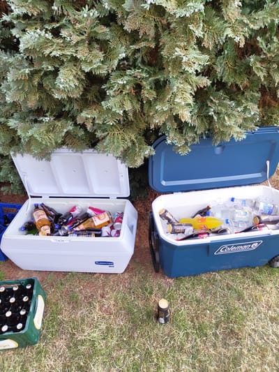 The image depicts an outdoor scene, likely a backyard or park in Schmelz, Germany, characterized by a grassy area, a juniper bush, and assorted beverage containers.

Two coolers are present: a blue "Coleman" cooler with its lid open, containing various beverages including beer cans (Guinness), liquor bottles, water bottles, and soda immersed in ice; and a white "Rubbermaid 30" cooler, also with its lid open, filled with a mix of beer bottles, cans, and other bottled drinks.

A single empty Guinness can sits on the grass near the "Coleman" cooler. Adjacent to the "Rubbermaid 30" cooler, there is a green beer crate filled with unlabeled beer bottles. The coolers and beer crate rest on the ground among the grass, near the juniper bush. There are no people or other explicit actions visible in the image.