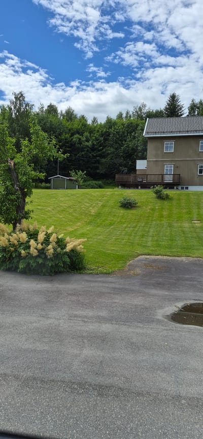 The image depicts a suburban scene in Biri, Norway, on a partly cloudy day. A two-story house with light brown siding and a dark gray roof is visible on the right, featuring multiple windows and a wooden deck. In front of the house, a well-maintained green lawn with visible mowing patterns slopes gently. A small green shed or garage is situated on the left side of the lawn, near a line of trees. A cluster of light-colored flowering bushes is prominent in the foreground on the left, beside a mature tree with a gnarled trunk. The ground in the lower part of the image is a gray asphalt surface, with a puddle of water reflecting the sky and a nearby structure on the right. The background is dominated by a dense line of various trees, suggesting a wooded area beyond the property. The sky above is a bright blue with scattered white clouds.