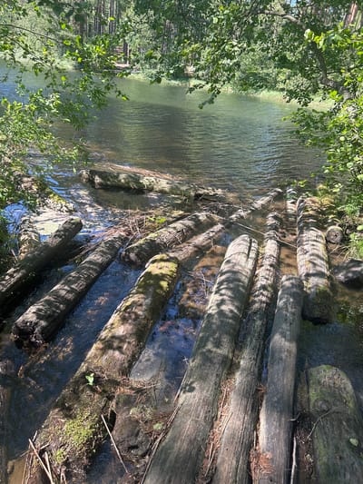 The image depicts a rustic footbridge constructed from large, weathered logs laid across a shallow body of water. The logs, some covered in moss and showing signs of age, are positioned side-by-side, forming a walkway. The water beneath the logs is clear, revealing the sandy bottom and occasional submerged debris. Sunlight filters through the overhead foliage, casting dappled shadows on the logs and water. The surrounding environment is lush and green, with trees and vegetation lining the water's edge. The scene suggests a natural, possibly remote, location. The location is identified as Borisovo, Russia. There are no people or animals visible in the image.