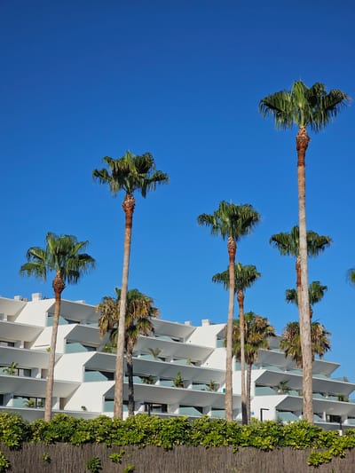 A row of palm trees is in the foreground, some tall and slender, others shorter and fuller. Behind the trees is a modern, white building with a tiered, angular design, featuring multiple balconies with light blue glass railings. A dense line of green bushes runs across the bottom of the image, above a rustic woven fence. The sky is a clear, vibrant blue. The scene is located in Deveses, Spain.