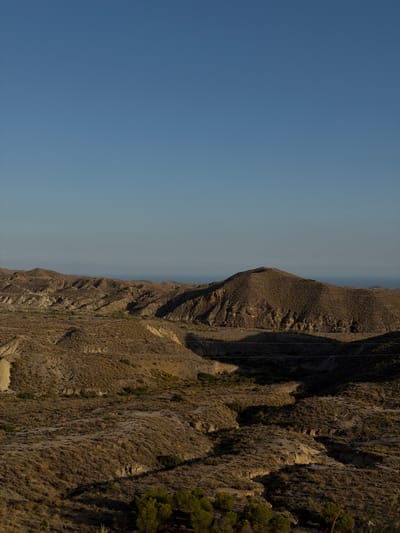 The image captures a panoramic view of a dry, hilly landscape under a clear blue sky. The terrain is characterized by arid vegetation, predominantly brown and yellow grasses, covering undulating hills and ravines. In the distance, the sea is visible as a faint blue line against the horizon. The light suggests it is either early morning or late afternoon, casting long shadows across the landscape. There are no people or animals visible in the scene, and the environment appears untouched by human activity except for a subtle presence of thin, dark lines that could be electrical wires stretched across the foreground. The geographical area is identified as being in the vicinity of Pechina, Spain, a region known for its semi-arid climate and mountainous terrain.