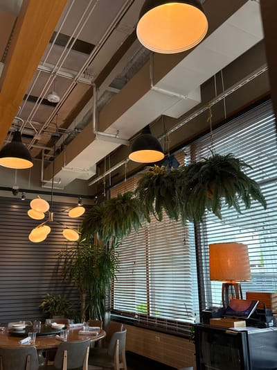 The image captures the interior of a modern dining establishment, likely a restaurant or cafe, located in Oak Brook, United States of America. The perspective looks upwards and across the room, emphasizing the ceiling and its design elements.

The upper portion of the space features a large skylight or window covered by horizontal slatted blinds, which allow natural light to filter through. Lush green plants, primarily ferns, are suspended from the ceiling, creating an overhead canopy. Exposed white rectangular air ducts and a network of white pipes run across the ceiling, contributing to an industrial-chic aesthetic.

Various light fixtures are visible, providing a warm ambiance. These include large, circular pendant lights with warm orange glow, black-domed pendant lights, and a multi-arm chandelier with multiple oval-shaped bulbs. A large, rectangular fabric lampshade also hangs near the ceiling.

A long, light-colored wooden beam extends across the mid-ground. Towards the right, a wall is clad with vertical dark slats. In the background, a service area features a monitor, a smaller display, and dark cabinetry or a refrigerator.

In the lower right of the frame, a long, polished wooden table is set for dining, complete with white plates, clear glasses, and napkins. Grey chairs with wooden frames are arranged around the table. No people are present, and no visible text can be discerned. The natural light combined with the indoor lighting suggests a bright, daytime setting.
