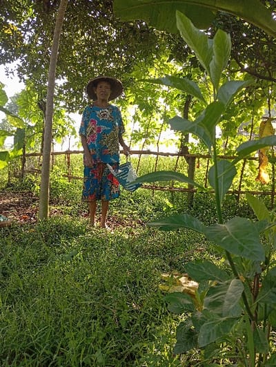 An elderly woman stands in a lush, verdant garden or agricultural plot in Waung, Indonesia. She is positioned slightly left of center, facing the camera with a neutral expression. She wears a wide-brimmed conical straw hat, a blue short-sleeved shirt with a vibrant floral pattern, and a matching knee-length skirt. Her feet are bare. In her right hand, she holds a white and blue plastic watering can. The environment is dense with vegetation; a large-leafed plant occupies the extreme right foreground, with a mix of grass and other green plants covering the ground. Behind the woman, a rustic fence or support structure made of thin wooden poles is visible, partially obscured by more foliage. Tall trees with dense canopies provide dappled sunlight filtering from above, creating a bright outdoor scene.