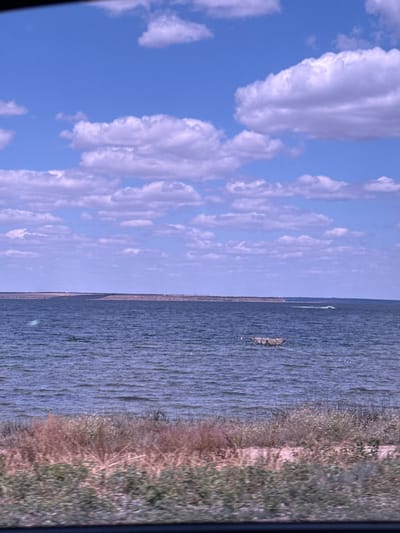 The image depicts a body of water, likely the Black Sea, bordering the resort town of Kobleve, Ukraine. A light blue sky with scattered white clouds fills the upper portion of the frame. The water is a deep blue with visible ripples, suggesting a moderate breeze. In the middle distance, a small, dark object floats on the water, possibly a buoy or a small fishing raft, with a rope extending from it. Further in the distance, a white wake indicates a boat moving across the water. The shoreline in the foreground is characterized by dry, light-colored vegetation and some patches of green foliage, with a dark, indistinct band at the very bottom suggesting the edge of a road or pathway. The horizon line is flat, with a low, brownish landmass visible across the water.