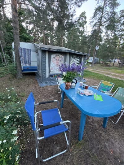 The image depicts a campsite in the city of Ozerki (Krasnodolinskaya), Russia. A caravan is parked on a dirt ground, partially covered by a gray awning. Blue and white patterned fabric is hanging on the side of the caravan. In front of the caravan, a blue plastic table is set up with several items: a metal teapot, four mugs, a vase with purple flowers, a package of food, and a green cutting board with a knife. Two chairs, one blue and one with a multi-colored fabric seat, are placed at the table. In the foreground, a blue folding chair is visible. The environment is wooded, with tall pine trees surrounding the campsite. The ground is covered with dirt, pine needles, and some low-lying green plants with white flowers. The sky is visible through the trees and appears overcast.