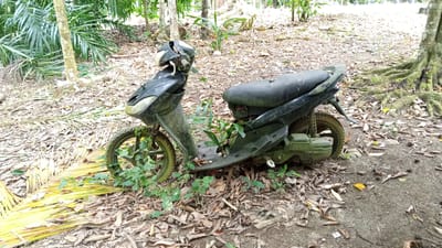 A black scooter is parked on a dirt path in a jungle-like environment, possibly in Meunasahuket, Indonesia. The scooter is partially covered in leaves and dirt, with vegetation growing around its wheels and base. The surrounding area is filled with fallen leaves, tree roots, and dense foliage. The scene appears abandoned and overgrown.