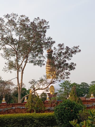 The image shows a view of the World Peace Pagoda in Lumbini Sanskritik, Nepal, partially obscured by trees. The pagoda is white with a gold-colored spire. It is situated behind a brick wall with decorative white and gold spires on top. A variety of green plants and trees are in the foreground and background. The sky is a light, hazy color.