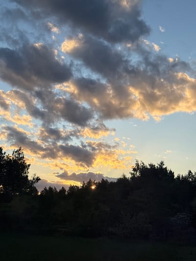 The image captures a sky with a mix of clouds, some dark and gray, others illuminated with a golden light, suggesting either sunrise or sunset. On the right side, the silhouettes of trees form a dark border, with a glimpse of the sun visible through the foliage. The location is Мажэйкаўскі сельскі Савет, Belarus.