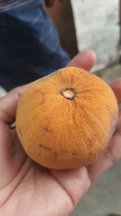 An individual's hand is holding a ripe santol fruit in Kawit, Philippines. The fruit is round and has a fuzzy, orange rind with some dark blemishes and striations. The top of the fruit shows a small, dried blossom end. The hand, which appears to be a left hand, is cupped to support the fruit. In the background, a person wearing a blue shirt is partially visible. The environment suggests an outdoor setting, possibly a residential area or a market, given the general lighting and blurred background elements.