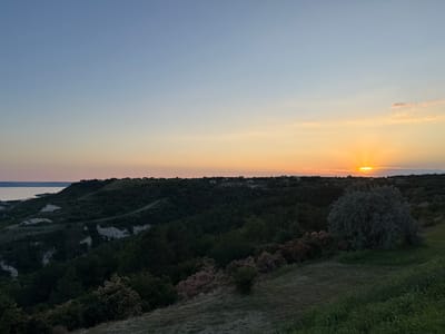 This is a wide-angle, eye-level, outdoor photograph taken at sunset in Topola, Bulgaria. The image captures a panoramic view of rolling, forested hills meeting a body of water on the left, likely the Black Sea. The sky is a gradient of soft blues and oranges, indicating the sun is just below the horizon, casting a warm glow.
In the foreground, a grassy slope descends into a valley dense with dark green trees and shrubs. To the right, a large, silvery-green tree stands prominently on the slope. The middle ground features a winding road cutting through the heavily wooded hills, with clusters of houses visible on the ridge line in the distance. The left side of the image shows a cliff face with exposed white layers, overlooking the tranquil water. The overall atmosphere is serene and natural, with no people or discernible activity.