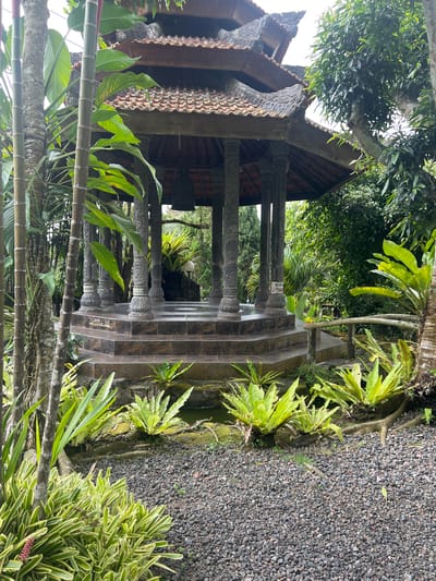 The image depicts a traditional Balinese gazebo situated in a lush, verdant garden environment in Pupuan, Indonesia. The gazebo features a multi-tiered, brown tiled roof supported by intricately carved stone pillars, some of which bear inscriptions and decorative motifs. A set of tiered stone steps leads up to the central platform of the gazebo. Surrounding the gazebo are various types of tropical plants, including large, leafy ferns and tall bamboo stalks. The ground is covered with dark grey gravel, and a small pond or water feature is visible near the base of the gazebo. A rustic wooden railing is present to the right of the steps. The overall scene conveys a sense of tranquility and natural beauty characteristic of a tropical garden setting. There are no people visible in the image.