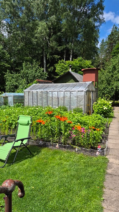 In the city of Ļūbaste 0001, Latvia, a verdant garden scene unfolds. The foreground is dominated by a lush green lawn, on which a green lounge chair is positioned. To the right, a concrete pathway meanders through the garden. A white fence delineates a flowerbed filled with vibrant orange lilies and other colorful blooms, interspersed with green foliage. Beyond the flowerbed, a large greenhouse with a translucent plastic covering stands, its entrance slightly ajar. To the left of this main greenhouse, a smaller greenhouse is visible. In the background, dense trees form a natural backdrop, with two rustic-looking buildings partially obscured by the vegetation. One building has a dark roof and green siding, topped with a red chimney-like structure. The sky above is a clear blue with scattered white clouds. The overall impression is one of a well-maintained, productive garden on a sunny day.
