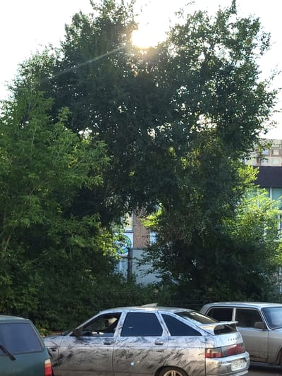 A silver sedan with a unique marble-like paint job is parked on a street in Zhukovsky, Russia. A second, lighter-colored sedan is parked behind it. Both cars are stationary. Lush green trees partially obscure a brick building in the background. The sun is shining brightly through the leaves of the trees.