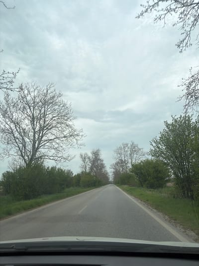 The image shows a rural road in Boliartsi, Bulgaria, viewed from inside a vehicle. The road stretches into the distance with green vegetation lining each side. Bare trees are visible in the upper portion of the frame, contrasting with the cloudy sky. A portion of the vehicle's frame is visible on the right side of the image. The road appears to be asphalt.