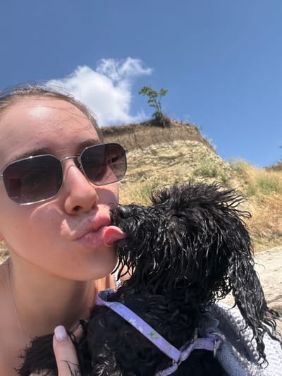 This media file depicts a close-up, vertical shot of a person and a black poodle enjoying a sunny day outdoors. The person, viewed from the neck up, is wearing sunglasses and tilting their head back, with their mouth puckered as if to kiss the dog. The dog, positioned above the person, is leaning down, with its wet fur glistening. Its tongue is extended, making contact with the person's lips, suggesting a playful interaction. The dog is wearing a light purple collar with a floral pattern.

The background suggests an outdoor setting with a steep, dry, grassy incline and a clear blue sky with a few wispy clouds. A small, bare branch is visible growing from the incline in the upper left portion of the frame. The lighting indicates it is daytime, likely sunny, given the shadows and the bright sky. The scene evokes a sense of joy and affection between the person and their pet.

There is no visible text in the image. The approximate location is Aheloy, Bulgaria.