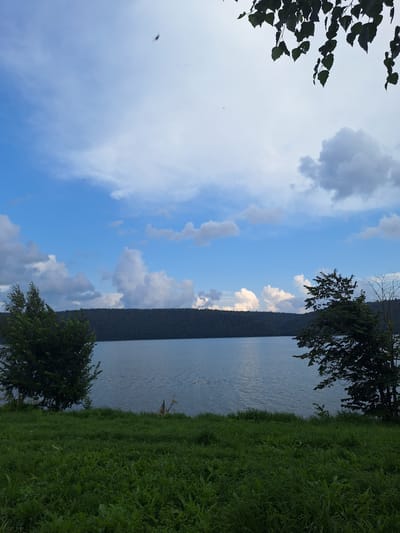 The image depicts a serene natural landscape. A calm body of water, likely a lake or reservoir, dominates the central part of the frame. On the far side of the water, a dense, dark green treeline forms a horizontal barrier across the horizon. The sky above is a dynamic mix of blue and white, with scattered clouds, some appearing soft and wispy, while others are more voluminous and textured. In the foreground, a lush green grassy area slopes gently towards the water's edge. Two distinct trees are visible: one on the left, with a full, rounded canopy, and another on the right, taller and more sparse in its foliage, revealing some bare branches. Overhanging the upper right portion of the image are the dark green leaves of a tree, providing a framing element. The scene is devoid of human presence or any explicit urban elements, suggesting a remote or natural setting.