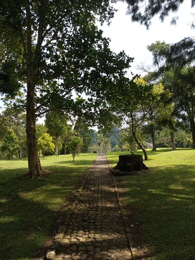 This media file presents a tranquil outdoor scene, likely a public park or garden, identified as being in New Serchhip, India. The primary subject is a winding cobblestone path that stretches from the foreground into the distance, receding uphill.

The path is bordered by lush green grass on both sides, which is brightly lit by the sun but also features prominent, elongated shadows cast by the surrounding trees, indicating a clear day, possibly midday or early afternoon. A large tree with a thick, textured trunk stands prominently on the left side of the path in the foreground, its dense canopy extending over a portion of the scene. Other trees of various sizes and leaf densities are scattered throughout the grassy areas, with some displaying lighter green foliage.

To the right of the path, a dark, weathered tree stump or stone block is visible, with what appears to be carved or inscribed text on its side. Although indistinct, the text seems to spell out initials or an abbreviation, possibly "R.H.R S" or "R.H.B S." Beyond the immediate foreground, the landscape opens up to more trees and verdant hills in the background, completing the natural vista. No people are visible in the image, contributing to the serene and untouched atmosphere of the setting.