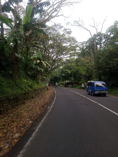 The image depicts a rural or semi-rural road in Sat Thay (East), Myanmar, under an overcast sky. The asphalt road curves gently to the left and is marked with a solid white line on the right edge and a dashed white line separating lanes further left. On the immediate left, a steep, vegetated embankment rises, featuring a stone retaining wall at its base. The ground beside the retaining wall is covered in dry brown leaves and green undergrowth. Lush green trees, including broad-leaved banana-like plants and a large tree forming an arching canopy, line both sides of the road, creating a dense forested environment. In the mid-ground on the right side of the road, a blue minivan is parked or moving slowly, facing away from the camera. Further down the road, on the left side, several individuals on motorcycles are visible, also proceeding in the same direction. A small, dark structure, possibly a shack or vendor stall, is partially visible on the right side of the road, nestled among the trees.