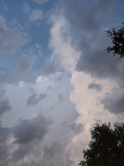 A low-angle, vertical photograph captures a sky filled with dramatic clouds in Winter Park, USA. The clouds are a mix of dark, heavy gray masses and lighter, billowy white formations, suggesting an impending or recently passed storm. Some patches of clear blue sky are visible between the clouds. The upper right and bottom right corners of the image are partially obscured by the dark silhouettes of dense tree foliage. The scene is devoid of any human presence or identifiable structures, focusing solely on the atmospheric conditions and the encroaching greenery.