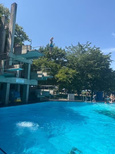 The image depicts an outdoor swimming pool on a clear, sunny day. A young person in blue swim trunks is captured mid-air, in the process of diving from a tall, concrete diving platform. The platform has multiple levels, with some people visible on lower tiers. The pool water is a vibrant blue, with a splash visible in the foreground, indicating a recent or ongoing dive. Lush green trees surround the pool area, suggesting a park-like setting. In the background, other swimmers and sunbathers are present near the edge of the pool. A sign on the diving structure reads "Nicht in den Sprungbereich schwimmen Wasseroberfläche 3,80m", which translates to "Do not swim in the diving area, water surface 3.80m". The location is the outdoor swimming pool in Rheinbach, Germany.