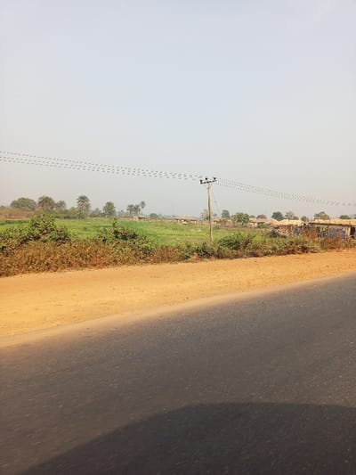 This image presents a rural landscape in Koton Karifi, Nigeria, viewed from the perspective of a moving vehicle. The foreground features a dark gray, paved road occupying the lower right quadrant, with a lighter brown, sandy dirt shoulder to its left.
Beyond the road and shoulder, the middle ground is filled with lush green vegetation, appearing to be fields or dense natural growth. Several scattered trees, including prominent palm trees, rise above the greenery, particularly on the left side and in the distant background. A wooden utility pole, supporting multiple strands of overhead power lines, stands near the center of the frame, extending upwards from behind the vegetation. The power lines appear as dashed segments across the upper middle of the sky, possibly due to motion blur.
In the far distance, nestled among the trees and fields, are several small, modest structures, likely houses or huts, indicating a small settlement. The sky is a pale, hazy blue-gray, suggesting either a dry season with atmospheric dust (like harmattan) or general diffused daylight. The time of day appears to be daytime, under bright but filtered sunlight. No people or visible text are present in the image. The scene conveys a sense of quiet, open rural expanse with basic infrastructure.