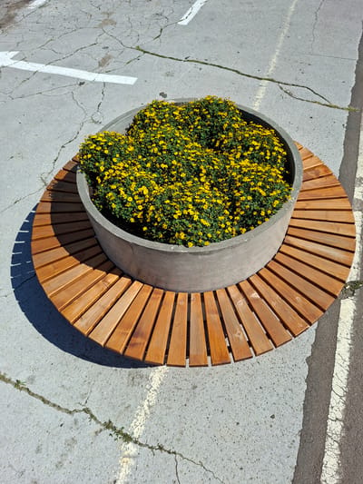 A circular planter filled with yellow flowers sits on a wooden bench. The planter is made of gray concrete and is surrounded by radiating wooden slats that form the bench. The scene is outdoors on a paved surface that appears to be cracked asphalt with white painted lines. The environment suggests a public area within Milestii Mici, Moldova, possibly a park or street. No people are present in the image.