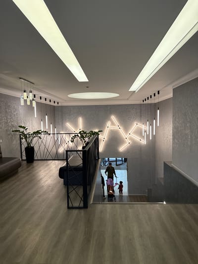 This indoor shot depicts the interior of a modern, likely residential, space. The location is possibly in Peresvet, Russia, although this is not explicitly visible in the image.

The scene is dominated by a gray and white color scheme. The walls and ceiling feature a textured gray finish, while contrasting white moldings and lighting fixtures create visual interest. A long, linear light fixture is situated along one wall, with other lights on an adjacent wall.

An elaborate lighting installation is a key element, featuring a series of intersecting linear lights. A black metal structure with a potted plant is placed near this lighting fixture. The shot shows reflections in a glass wall where a woman with a baby stroller appears.

The floor is covered with light wood-look planks. In the foreground, part of a leather-like sofa is visible.