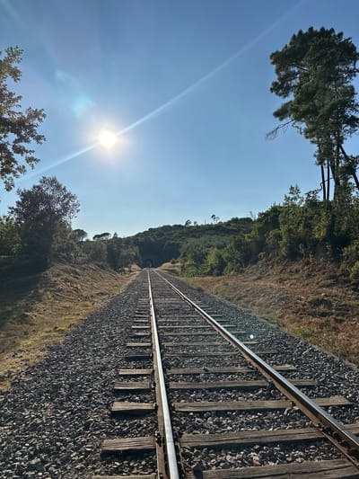 The image depicts a straight railway track extending into the distance, flanked by dry grass and lush green trees under a clear blue sky. The sun is positioned high in the sky, casting a bright glare and lens flare on the left side of the frame. The railway is composed of dark gravel ballast and wooden sleepers, with metal rails running parallel. On the horizon, a tunnel entrance is visible, framed by dense vegetation. The overall scene suggests a rural or natural setting in Générargues, France, likely during a sunny day. There are no people or animals visible in the image.