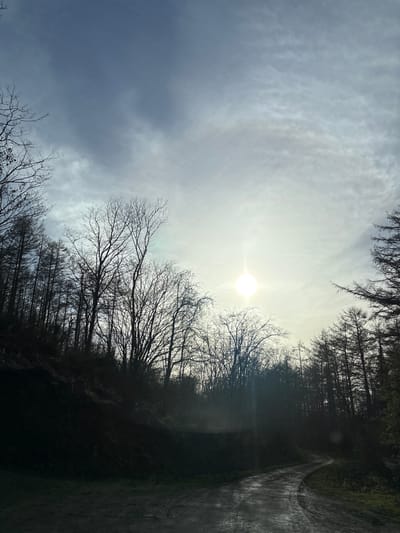 The image depicts a woodland scene in Snailbeach, United Kingdom. A muddy, winding dirt path occupies the lower foreground, curving towards the right side of the frame. Dense forest flanks the path, with trees silhouetted against a bright, hazy sky. Predominantly bare deciduous trees rise along a steep, dark embankment on the left, while coniferous trees are also visible, particularly on the right. The sky is overcast, with varying shades of grey clouds, transitioning from darker tones in the upper left to a brighter, lighter grey-white towards the center-right. A distinct, bright sunburst is visible through the clouds in the upper-right quadrant, creating a strong backlight effect and some lens flare. No individuals, animals, man-made structures (other than the path), actions, or interactions are present within the scene.