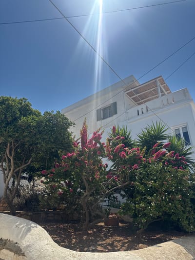 This media file captures a sun-drenched scene in Naoussa, Greece. The primary subjects are a white building with a thatched-roof balcony and lush greenery, including a vibrant bougainvillea bush with pink flowers and a mature tree with dense foliage. Palm fronds are also visible, peeking out from behind the bougainvillea. The setting appears to be an outdoor area, possibly a courtyard or garden, adjacent to the building.

The bright sunlight suggests it is daytime, likely mid-morning or afternoon, as evidenced by the strong sunbeams lancing across the clear blue sky. The weather is fair and sunny. There are no people or obvious activities taking place; the image focuses on the architecture and the natural elements.

Notable details include the clean, white plaster of the building, characteristic of Greek island architecture. The wooden beams of the balcony and the textures of the tree bark and surrounding earth add a rustic charm. The bright sunlight creates strong highlights and shadows, enhancing the dimensionality of the scene. The overall mood is one of peaceful tranquility and a serene appreciation of a Mediterranean setting. There is no visible text in the media file.