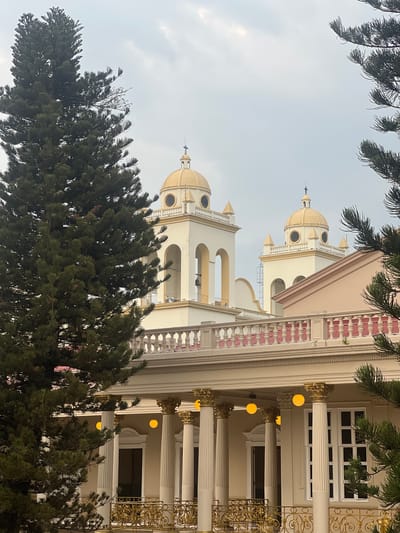 The image shows a partial view of the Metropolitan Cathedral in San Salvador, El Salvador. The frame is slightly obscured by trees. Visible are the cathedral's two towers with golden domes, architectural details such as columns, railings, and a section of the building's facade with windows. The sky is overcast.