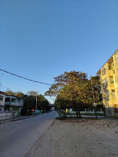 A street scene with a long, gray asphalt road. Tall building at the top corner with a mix of beige and cream color. Scattered trees alongside the road, some with lush green and reddish leaves. Clear blue sky covers most of the image. Utility lines crisscross the sky above the street. Buildings are present along the bottom, showing signs of varying designs and light colors.
